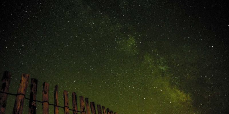 从政策到实战：深度解析舞蹈艺考成功路径与备考策略