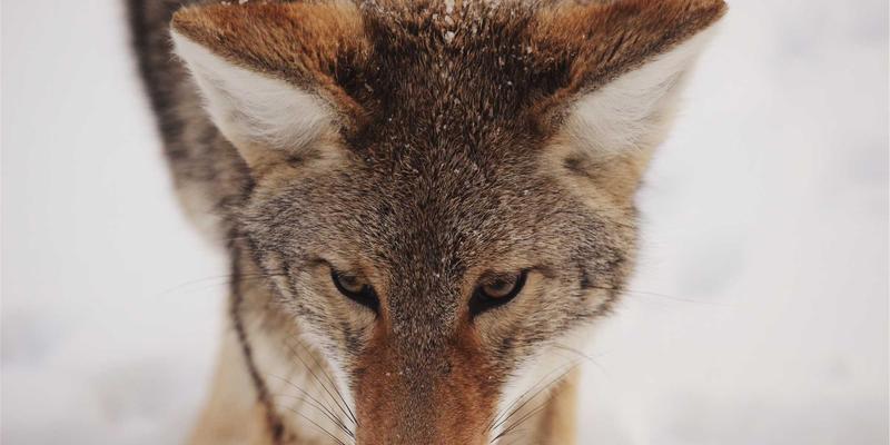 美术高考素描头像结构理解：从骨骼肌肉到光影体积的塑造逻辑