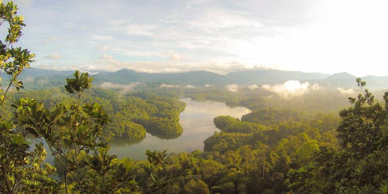 舞蹈艺考软开度科学训练指南：规避受伤风险，高效提升柔韧性应对艺考政策