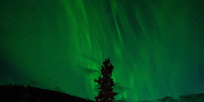 艺术高考30年：从美术高考到舞蹈艺考，专业辅导如何塑造未来艺术人才？