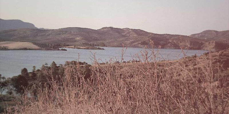 艺术高考36计:深度解析艺考政策,决胜音乐与美术高考