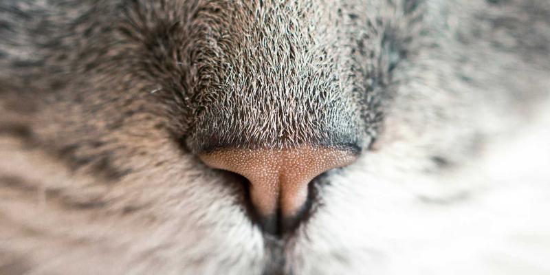 艺术高考51：音乐艺考全攻略与最新政策解读