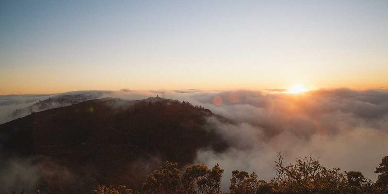 艺术高考60天冲刺指南：舞蹈艺考备战策略与关键资讯