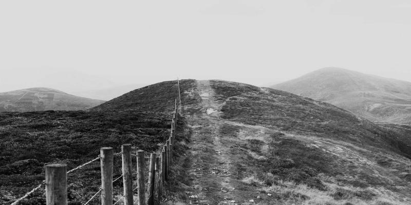 艺术高考88:深度解读最新艺考政策与音乐艺考备考策略