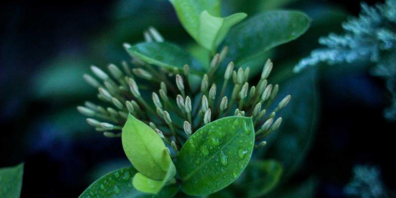 艺术高考89：舞蹈艺考全攻略与高效备考策略