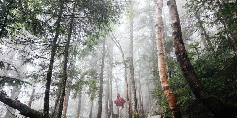 艺术高考98:解码艺考成功之路,掌握培训与资讯的核心策略