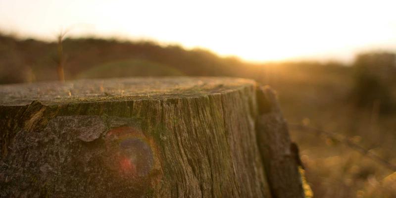 艺术高考书法专业备考全攻略：从临摹到创作的阶段性训练指南