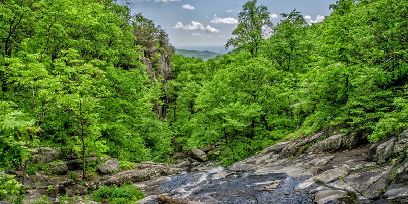 艺术高考全解析:从备考策略到美术高考冲刺的完整指南