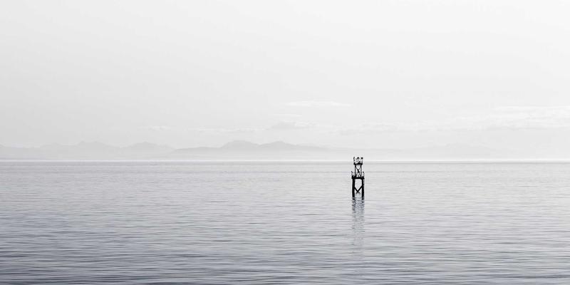 艺术高考全解析：最新政策、备考资讯与未来趋势