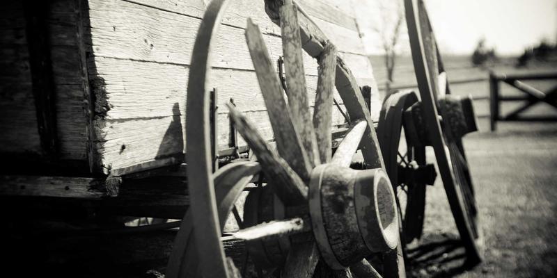 艺术高考服装表演专业全解析：台步训练、造型展示与镜前表现力提升指南