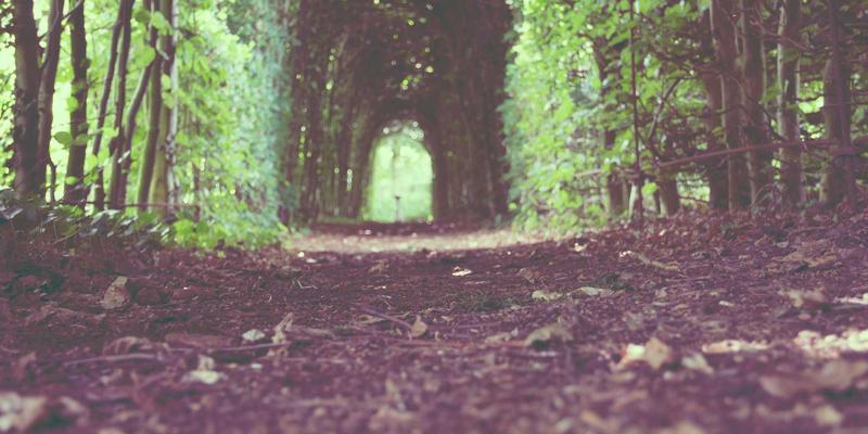 艺术高考编导专业故事创作核心技巧：从主题立意到情节结构的实战方法