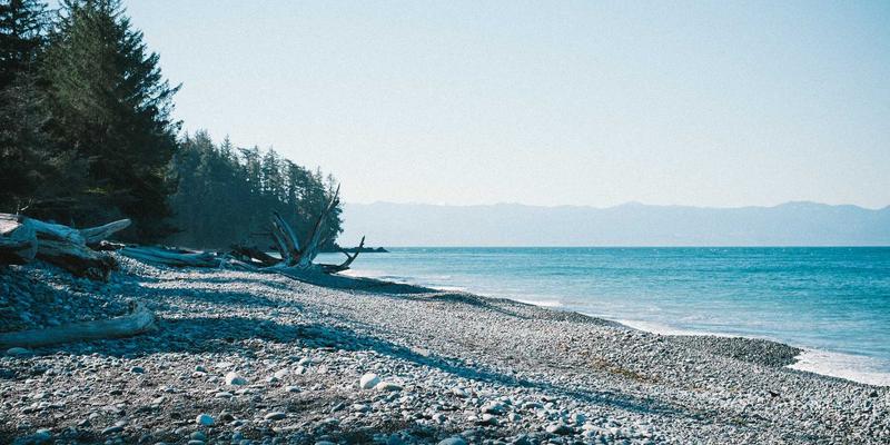 艺术高考艺术史论专业应试双突破：夯实基础知识与驾驭论述写作的实战策略