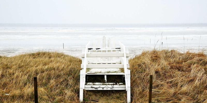 艺术高考趋势深度解析：政策变革、培训转型与未来路径