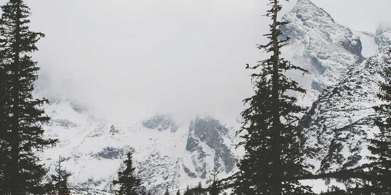 艺术高考音乐类视唱练耳提分全攻略：从音准节奏到多声部听写的系统训练法