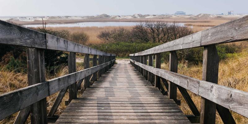 艺考动画专业专项训练指南：分镜脚本、原画设计与运动规律详解 | 最新艺考政策与资讯