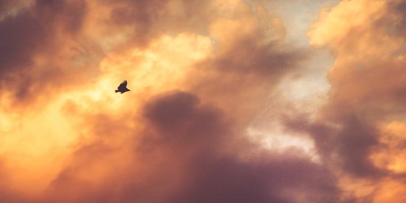 艺考培训新视角：影视作品分析写作如何从视听语言切入主题思想