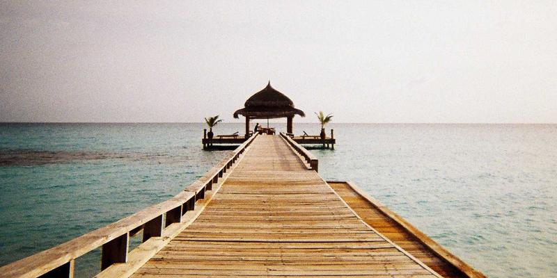 艺考政策解读：揭秘音乐艺考与素描高分技巧，科学备考决胜考场