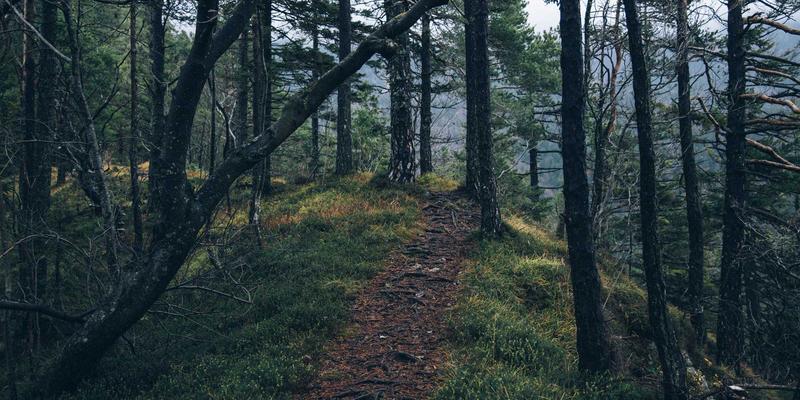 音乐艺考视唱练耳突击训练：科学方法攻克音准与节奏，决胜校考关键环节